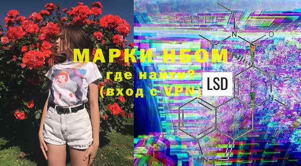 прущая мука Алзамай