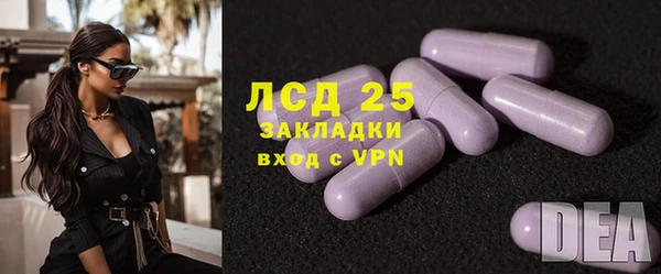 ECSTASY Пересвет