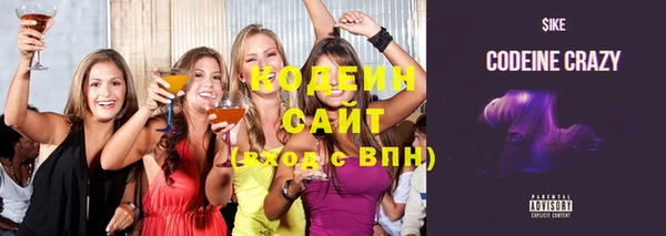 ECSTASY Пересвет