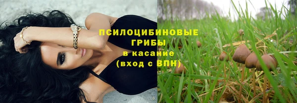 стафф Переславль-Залесский